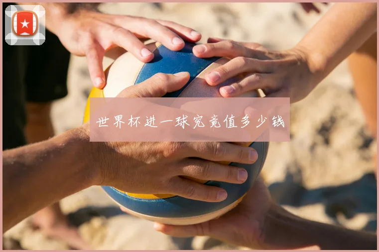 世界杯进一球究竟值多少钱