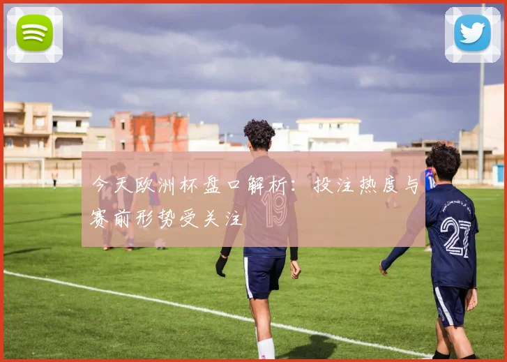 今天欧洲杯盘口解析:投注热度与赛前形势受关注