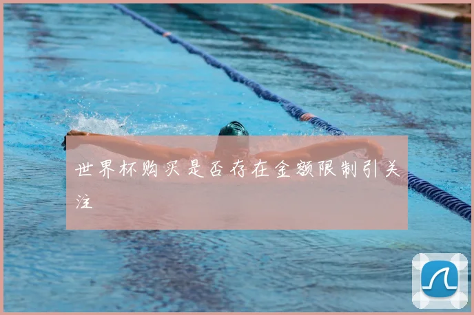 世界杯购买是否存在金额限制引关注