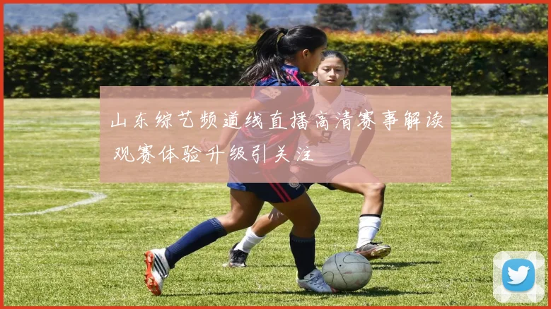 山东综艺频道线直播高清赛事解读 观赛体验升级引关注